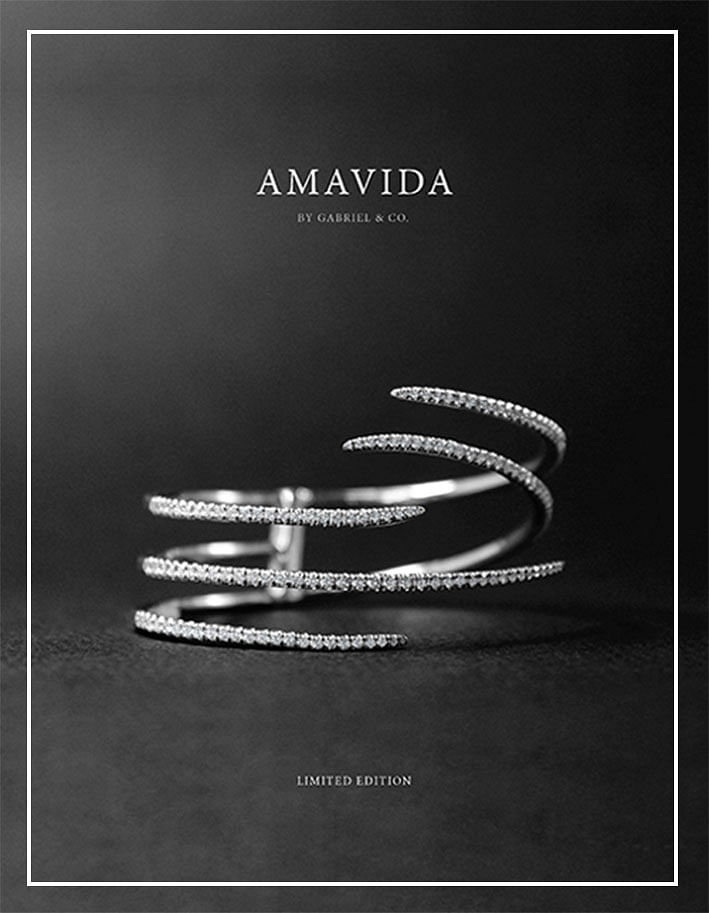 2016 Amavida Limited Edition Fashion Book