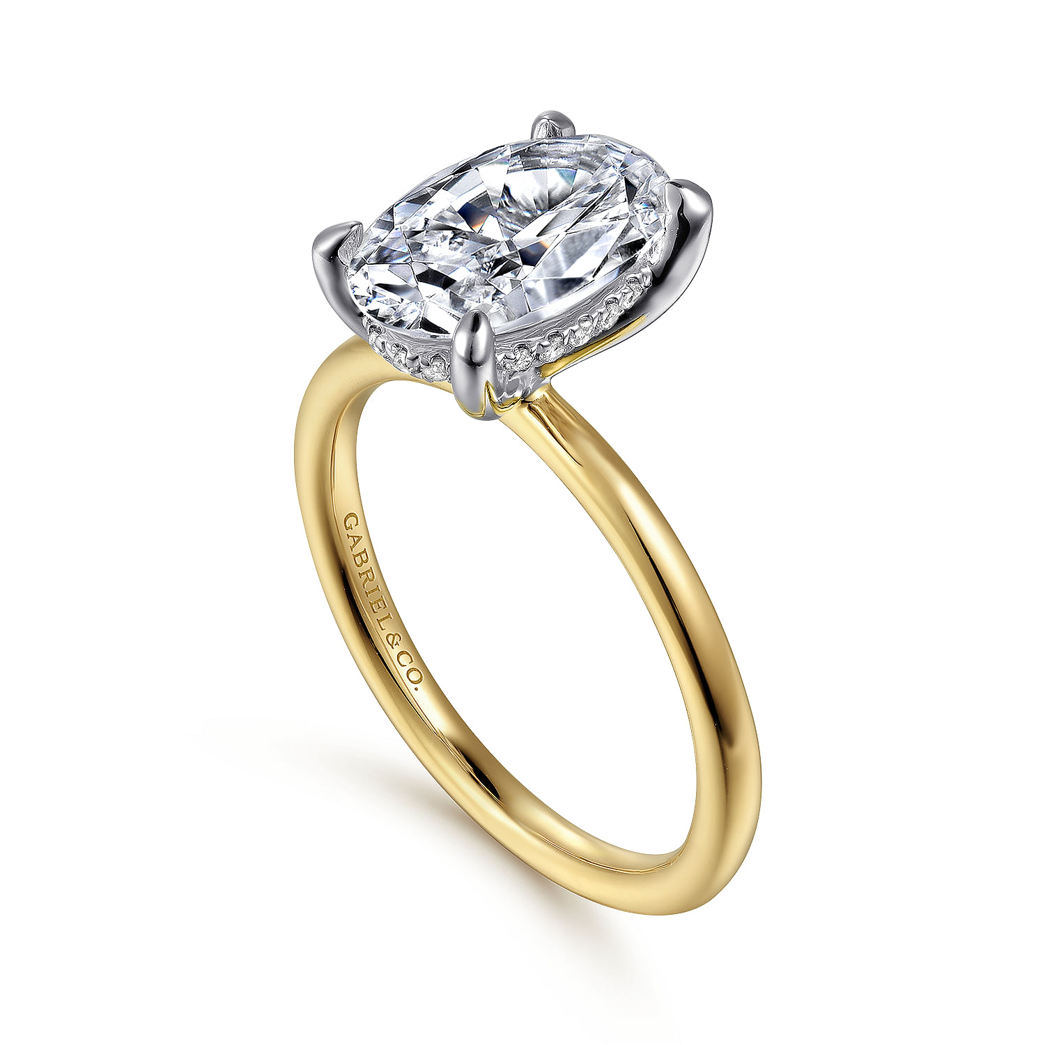 14K White-Yellow Gold Hidden Halo Oval Diamond Engagement Ring
